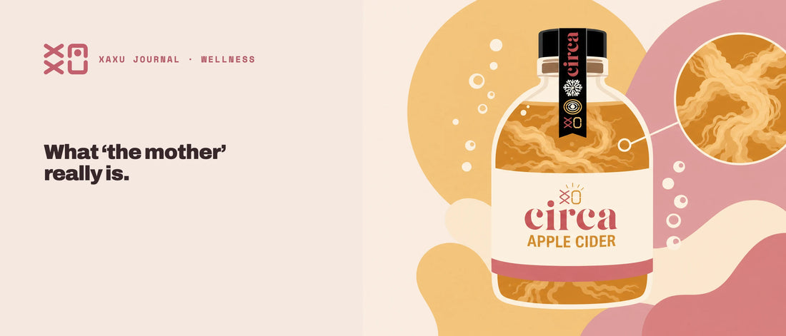 What the mother is — the cloudy strands inside Circa apple cider vinegar