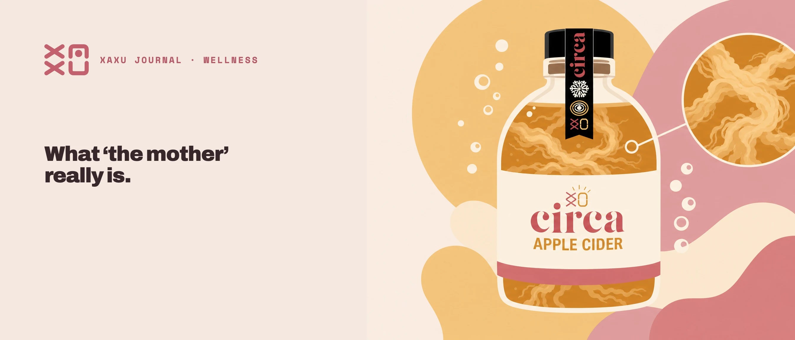 What the mother is — the cloudy strands inside Circa apple cider vinegar